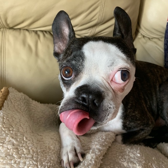 Meet your Posher, Madison - Picture 7 of 10